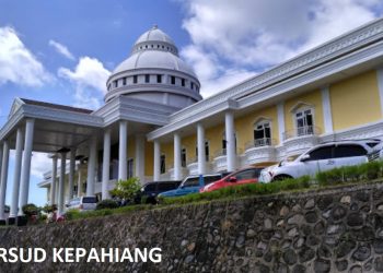 Dana DAK Pembelian Incinerator RSUD Kepahiang 3 Milyar lebih Gagal Lelang, Andrian Defandra : Kita Minta Bupati Rombak Jajaran RSUD