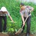 Hijaukan Lingkungan Polres Kepahiang, Kapolres Tanam Pohon Durian, Mangga, Kelapa dan Petai