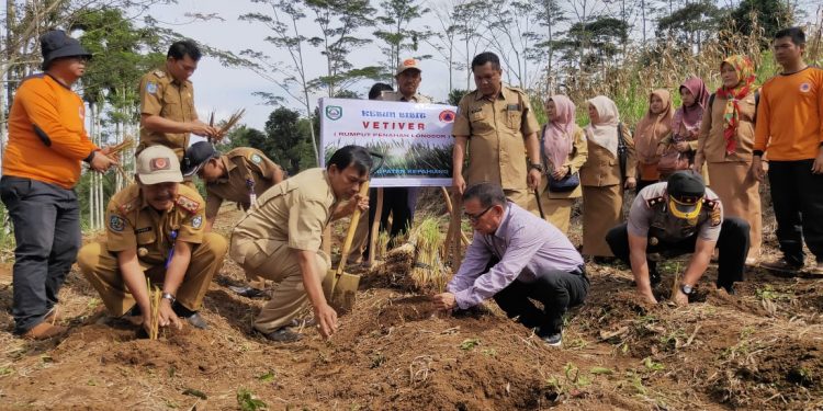 Bupati Bersama BPBD Tanam Bibit Vetiver Untuk Cegah Longsor