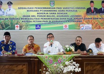 Bupati Kepahiang Hadiri Acara Sosialisasi Pengembangan Padi Varietas Unggul Bersama PT. Shandong Agro Perkasa