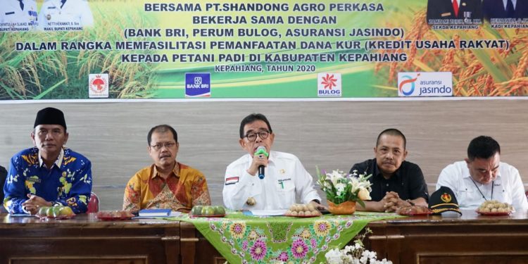 Bupati Kepahiang Hadiri Acara Sosialisasi Pengembangan Padi Varietas Unggul Bersama PT. Shandong Agro Perkasa