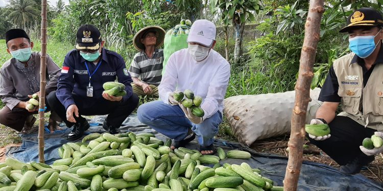 Gubernur Bengkulu Borong Hasil Pertanian Masyarakat Kepahiang 10 Ton, Ikan 2 Ton dan Bagikan Takjil Gratis Kepada Msyarakat Kepahiang