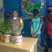 Nekat Tanam Ganja Di 3 Pot, Pemuda Kepahiang Di Ciduk Polisi
