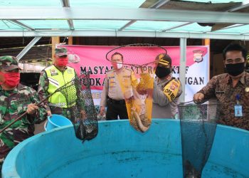 Jaga Stabilitas Pangan Ditengah Pandemi, Polres kepahiang Laksanakan Panen Raya Budidaya Ikan Lele
