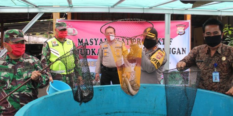 Jaga Stabilitas Pangan Ditengah Pandemi, Polres kepahiang Laksanakan Panen Raya Budidaya Ikan Lele