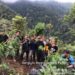 Ungkap Kebun Ganja, Dit Narkoba Polda Bengkulu Amankan BB 250 Kg Ganja Kering dan Senpi Rakitan