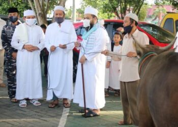 Momentum Idul Adha, Walikota Ajak Masyarakat Kembali Makmurkan Masjid