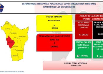 Update Covid-19 Kepahiang : 4 Orang Sembuh, 1 Orang Masih Isolasi