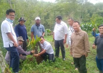 Kembangkan Wisata Dinas Parpora Dan Pemdes Air Sempiang Tanam Pohon Pinang