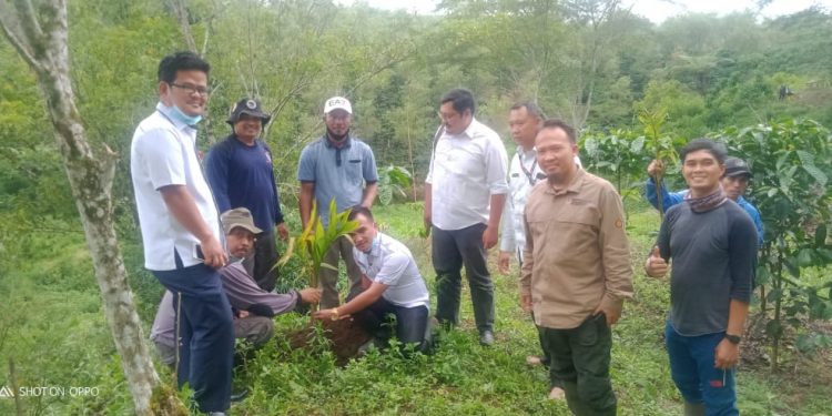 Kembangkan Wisata Dinas Parpora Dan Pemdes Air Sempiang Tanam Pohon Pinang