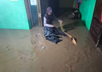 Akibat Hujan Deras Desa Pagar Agung Terendam Banjir