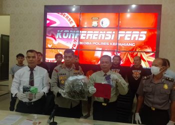 Miliki 300 Gram Ganja, Warga Empat Lawang Diringkus Polres Kepahiang
