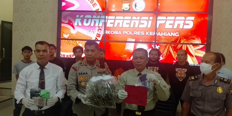 Miliki 300 Gram Ganja, Warga Empat Lawang Diringkus Polres Kepahiang