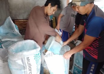 Tunjang Ketahan Pangan Pemerintah Desa Bayung Bagikan Pupuk Berkualitas Secara Gratis