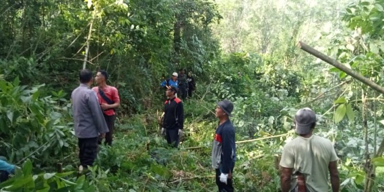 Dukung Program Ketahanan Pangan, Pemdes Talang Babatan Siapkan Lahan Jagung
