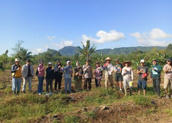 Dukung Program Ketahanan Pangan Nasional, Desa Pelangkian Tanam Jagung Seluas 1 Hektar