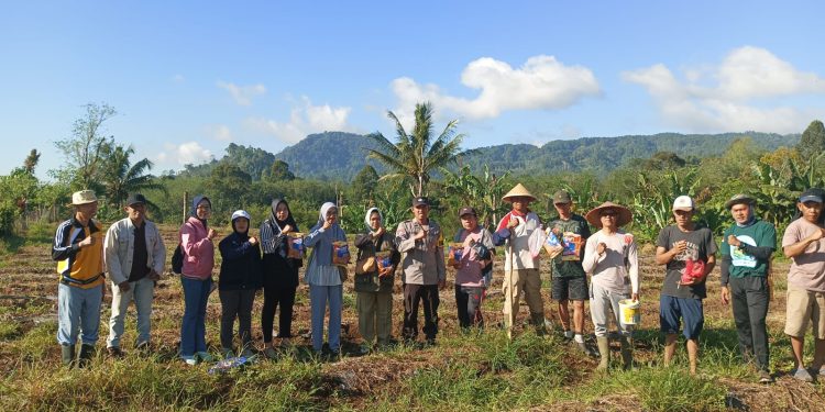 Dukung Program Ketahanan Pangan Nasional, Desa Pelangkian Tanam Jagung Seluas 1 Hektar