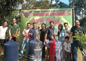 Murai Batu ‘Arjuna AG’ Juara 1 Kelas Utama Di Event Kepahiang Vaganza