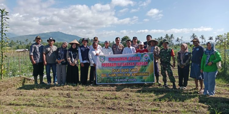 Pengurus BUMDES Desa Bumi Sari Tanam Bibit Jagung dan Dukung Program Ketahanan Pangan Nasional